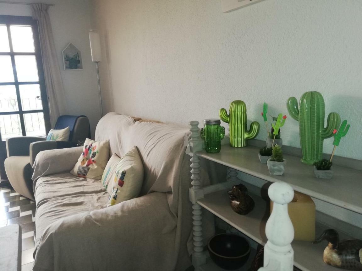 Can Cactus 加里格利亚 外观 照片
