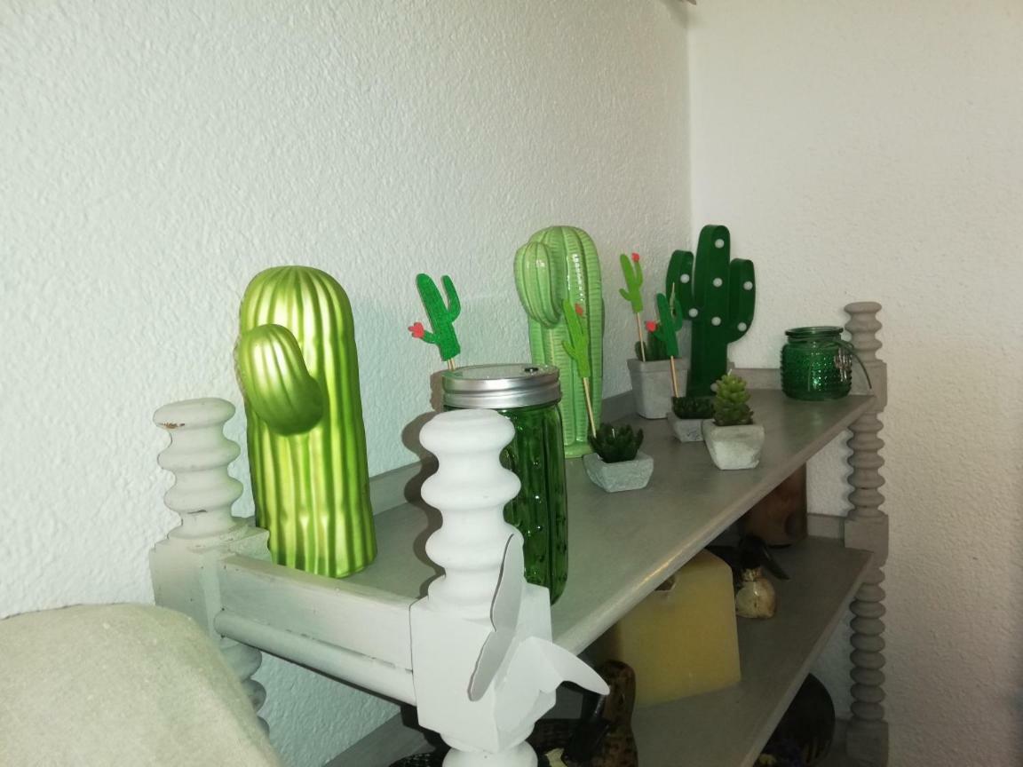 Can Cactus 加里格利亚 外观 照片